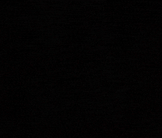 양정인 GIF