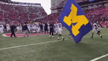 Ohio State GIF by 926