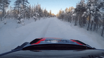 Sledding Winter Is Coming GIF by FIA World Rally Championship