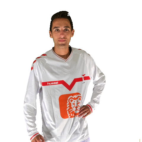 Vogels8 Vogelsacht Sticker by Valleivogels