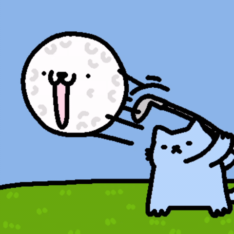 Spainnubcat GIF