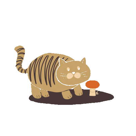 Mālama Mushrooms Sticker