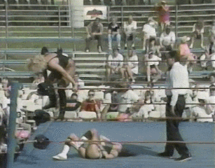 Wwe GIF