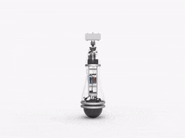 aqueelgogostarters  GIF