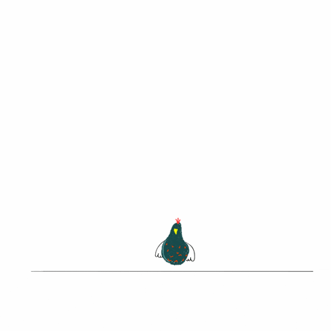 Animation Chicken GIF by ms_fefa