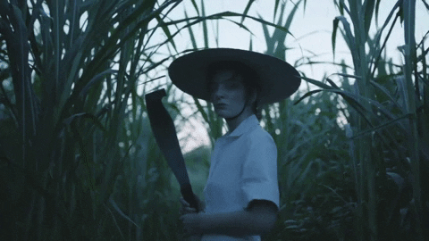 Perfect Places GIF by Pitchfork - Find & Share on GIPHY