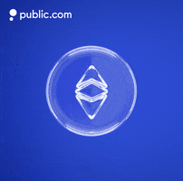 Crypto Cryptocurrency GIF by Public.com