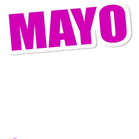 Mayo GIF by Titounis