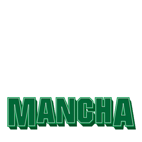 Libertadores Sticker by Mancha Verde