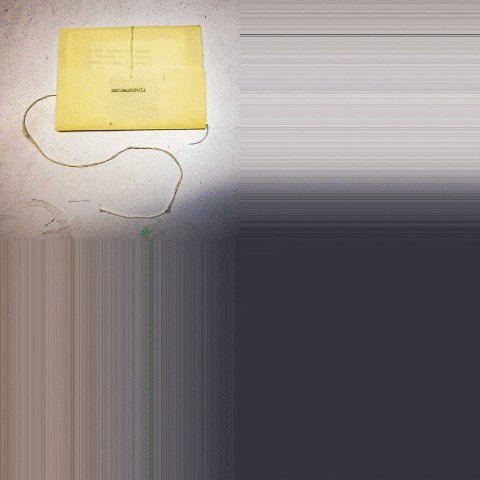 Mono Ebrio Editorial GIF