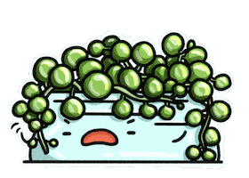 Jackie Tsang Sticker