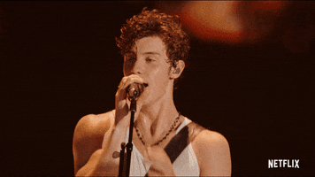 Shawn Mendes Hair GIF by NETFLIX