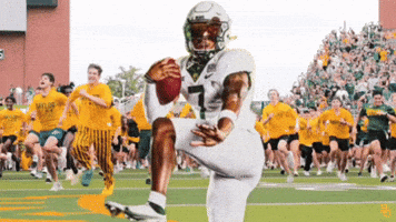 Baylor GIF