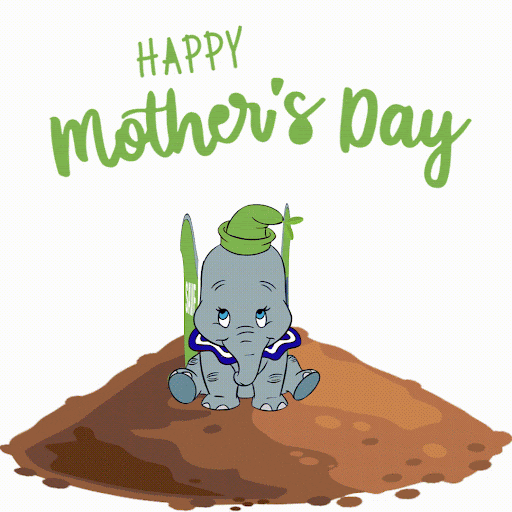 Mothers Day Mom GIF by Conscious Planet - Save Soil