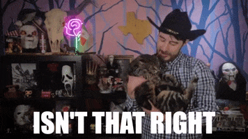My Little Princess Cat GIF by Dead Meat James