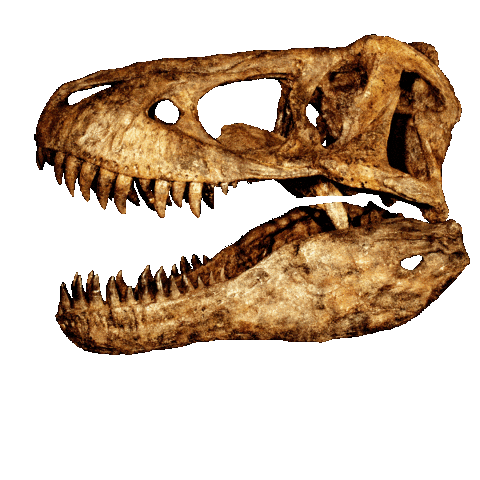 Nuevo Leon Monterrey Sticker by La Milarca Museo