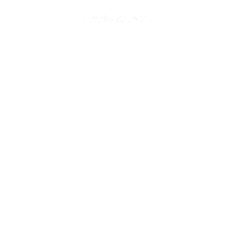 Dainese Sticker