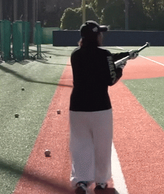 Baseball Bat GIF