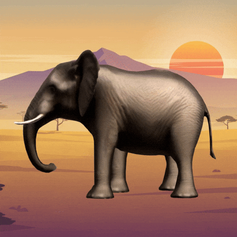 Walking Africa GIF by GT8Studios