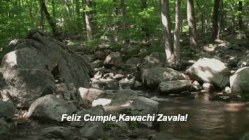 maniacgifs  GIF