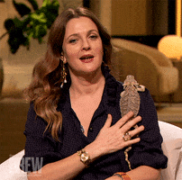 Bearded Dragon Pet GIF by The Drew Barrymore Show