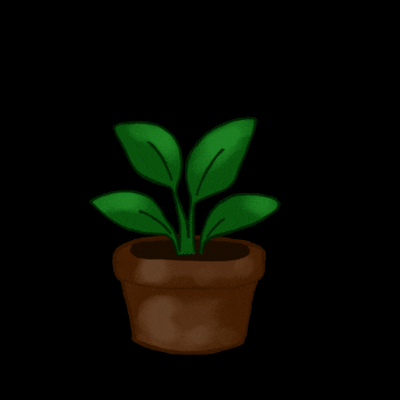 Plant GIF