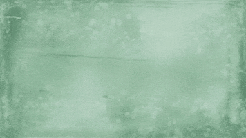 Happy Birthday GIF