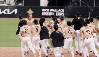 Celebration Baseball GIF by UCF Knights
