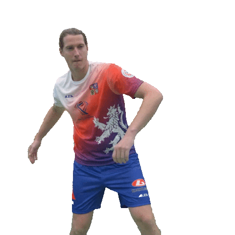 Sport Celebration Sticker by Nohejbal