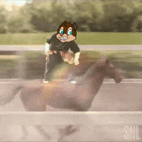 Horse Jumping GIF by ChipPunks