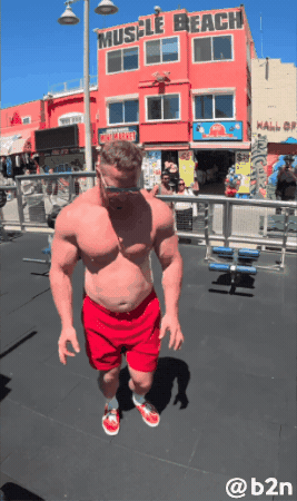 Yipyip GIF