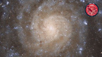 Nasa Uncover GIF by ESA/Hubble Space Telescope