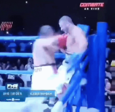 Box Combate GIF by TWF Internet