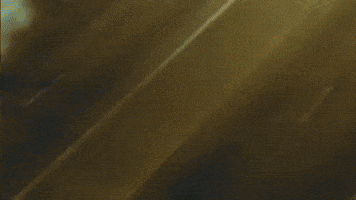 Dashboydev GIF