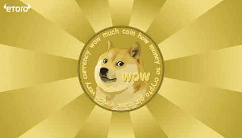 Crypto Doge GIF by eToro thumbnail