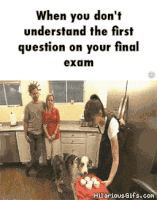 Exam GIF