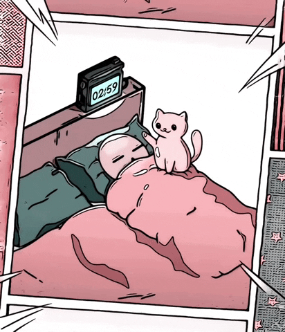 Wake Up Cat GIF by The3Flamingos