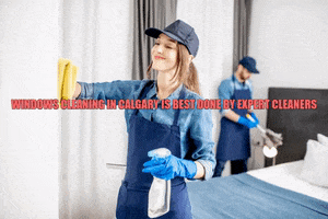 Full House Cleaning In Calgary GIF