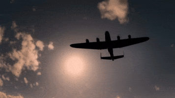 Flying Indie Film GIF by Signature Entertainment