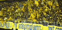 Indian Super League Kochi GIF