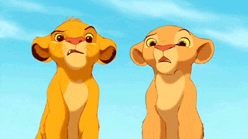 Disney gif. Simba and Nala look at each other both with open mouths and one raised eyebrow in confusion. They slowly turn their heads to look down in front of them, still looking as confused as before. 