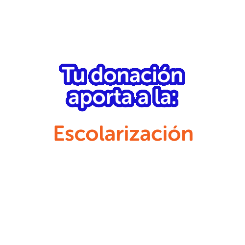 Fundación Luz Sticker
