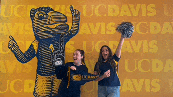 Ucd GIF by UC Davis