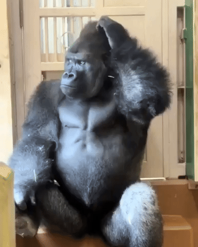 Fight GIF