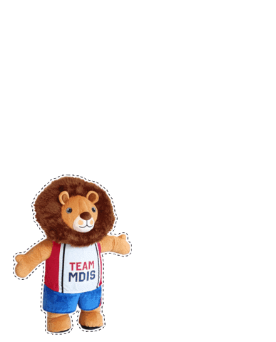 MDIS Sticker