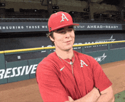 Baseball GIF by Hogs+