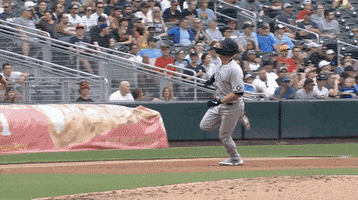 New York Yankees Running GIF by Jomboy Media