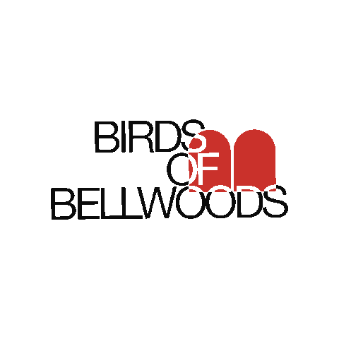 Birds of Bellwoods Sticker