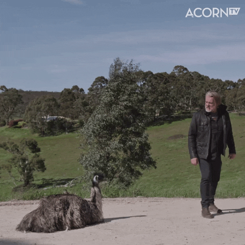 Angry Go Away GIF by Acorn TV