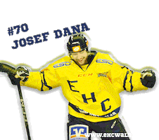 Sport Celebration Sticker by EHC Waldkraiburg
